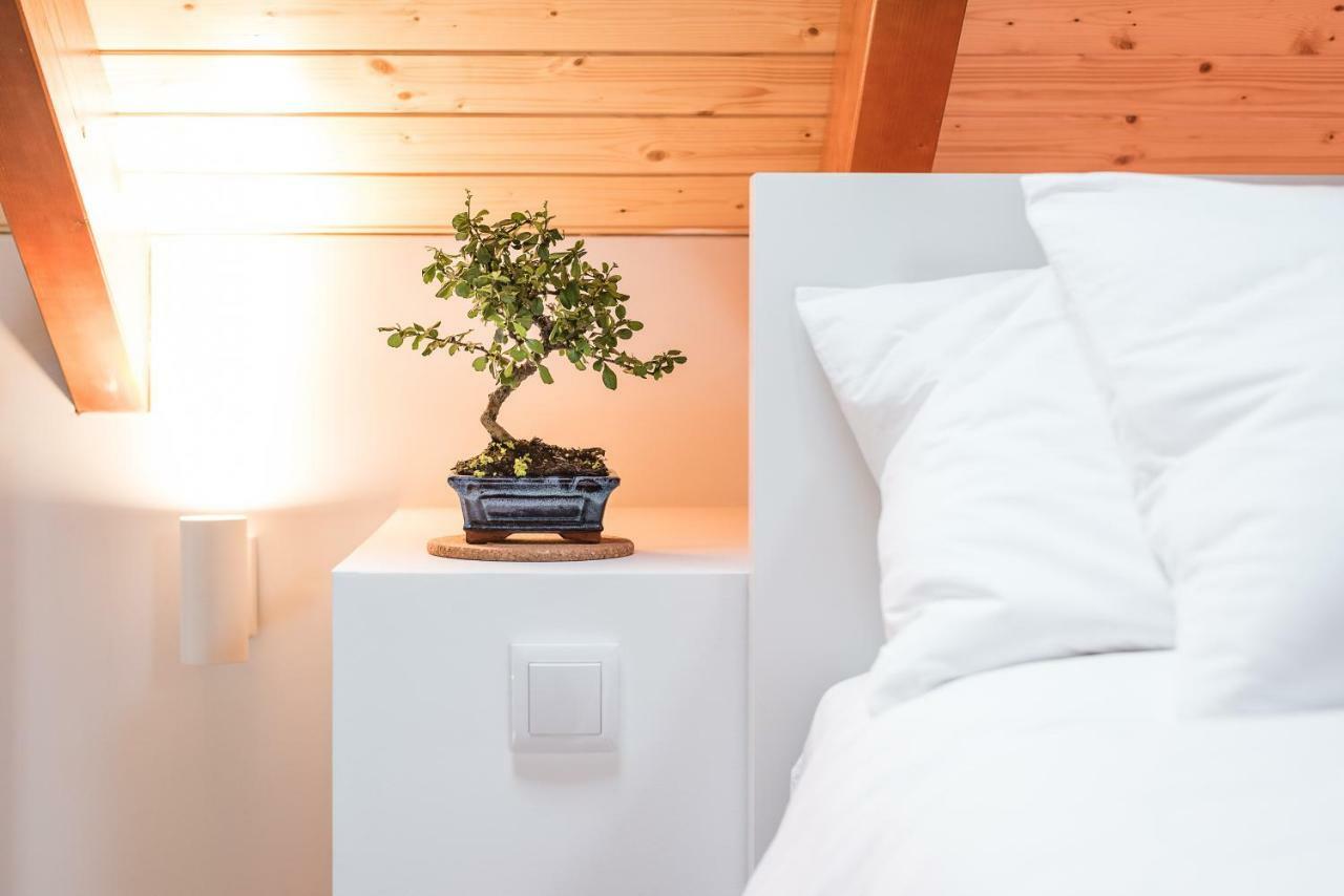 Sobri Cork House - Sustainable Loft Διαμέρισμα Πόρτο Εξωτερικό φωτογραφία